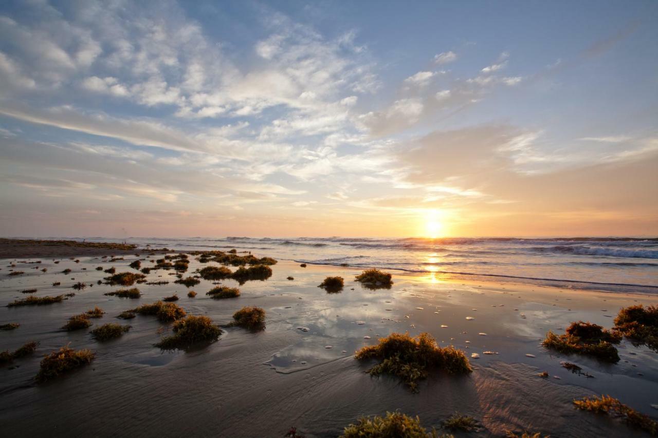 Campeche Cove #1 Hotel South Padre Island Buitenkant foto